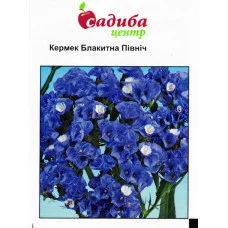 Кермек Голубой Север 0,1 г Садиба Центр